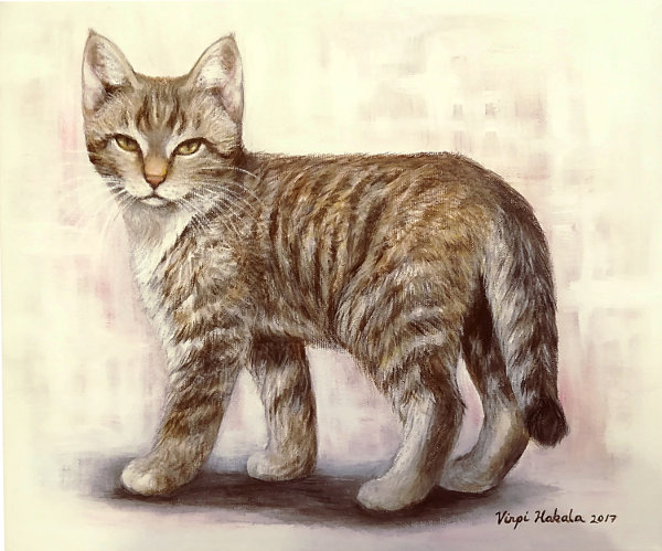 akryylimaalaus kissa